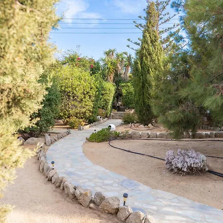 Sunrock - Petunia 3* Naxos City