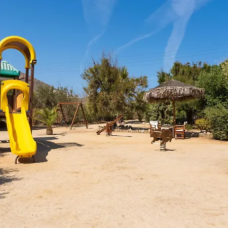 Sunrock - Petunia 3*