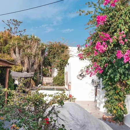 Sunrock - Petunia * Stelida (Naxos)